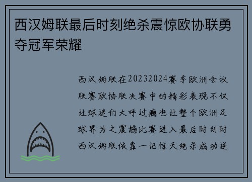 西汉姆联最后时刻绝杀震惊欧协联勇夺冠军荣耀